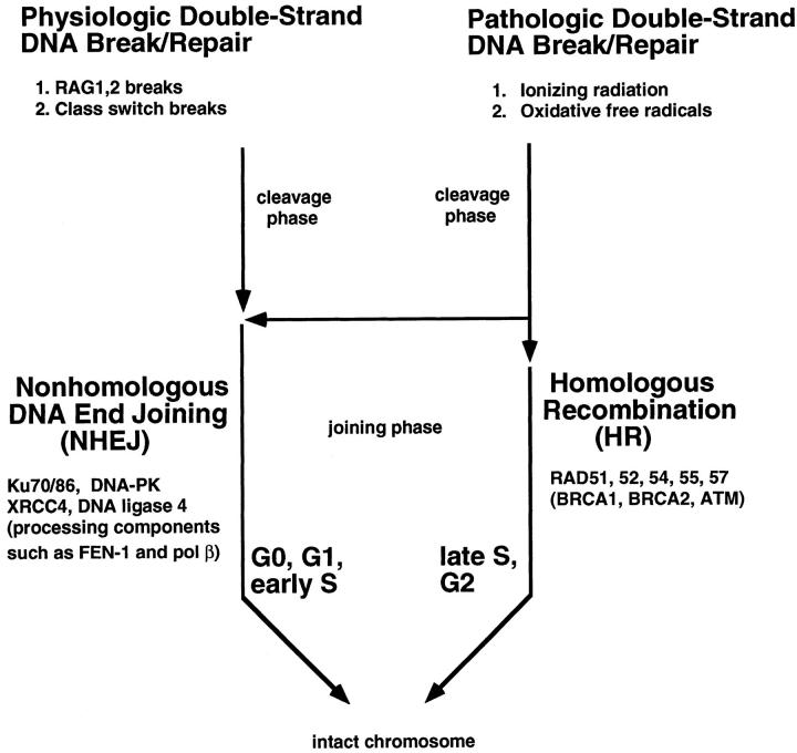 Figure 10.