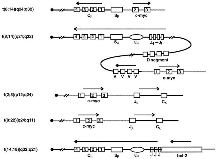 Figure 9.