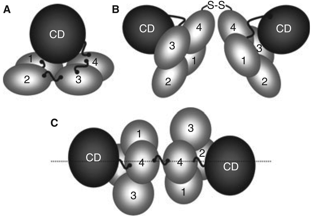 Fig. 2