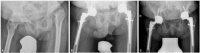 Fig. (3)