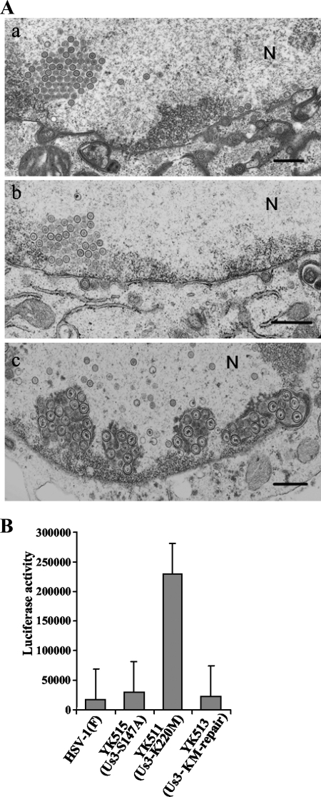 FIG. 10.