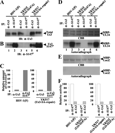 FIG. 7.