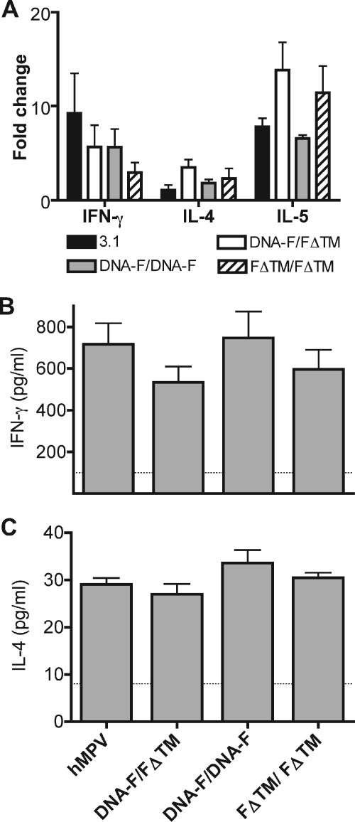 FIG. 6.