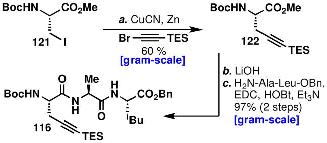 Scheme 13