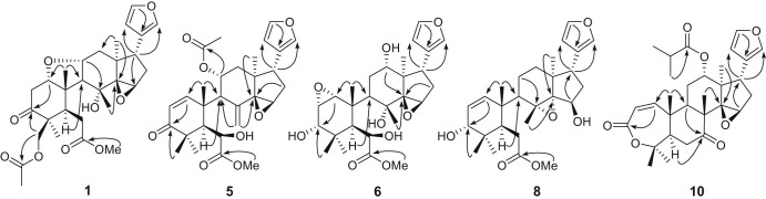 Fig. 2