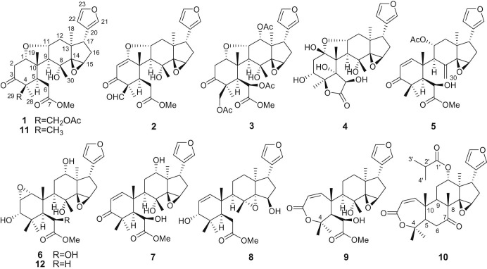 Fig. 1