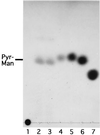 FIG. 5
