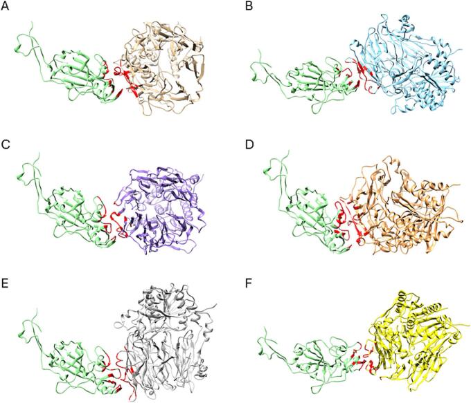 Fig. 6