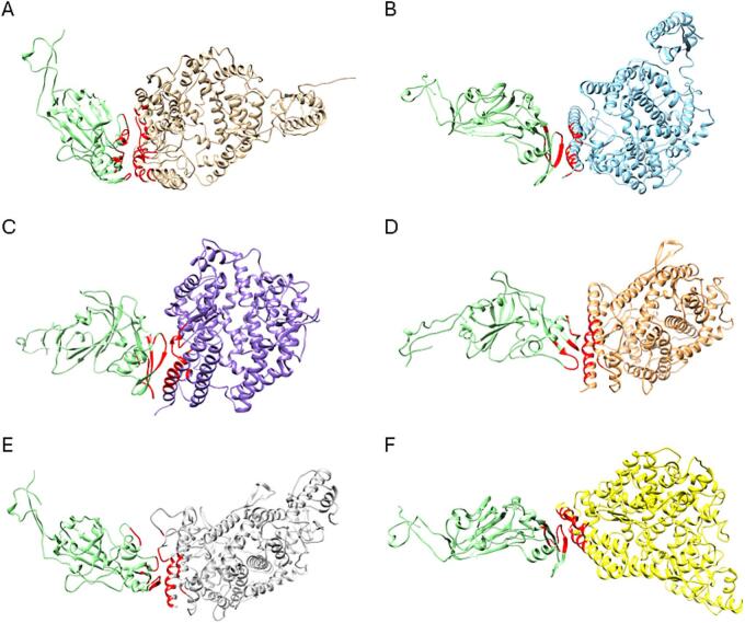 Fig. 7