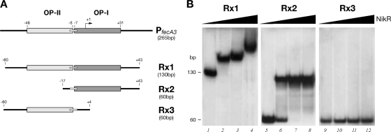 FIG. 5.