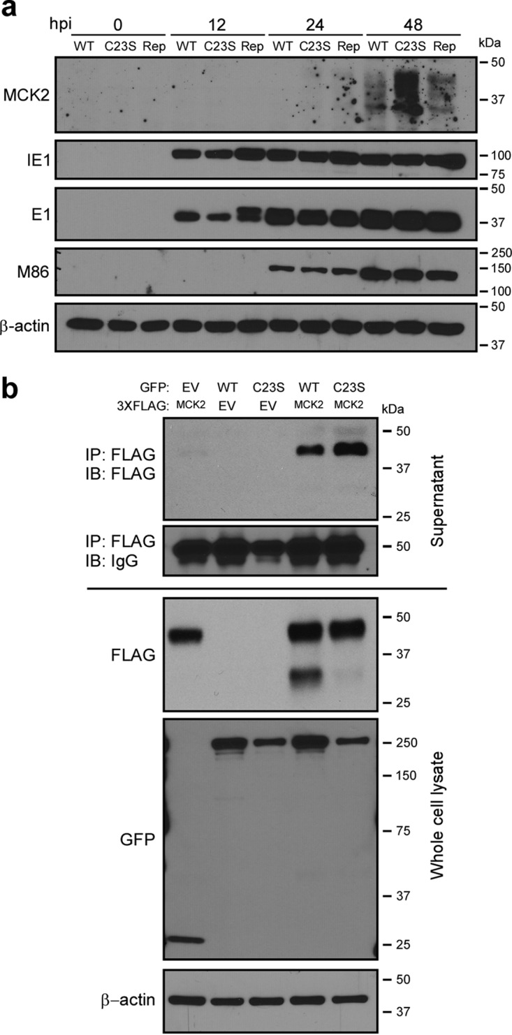 FIG 3 