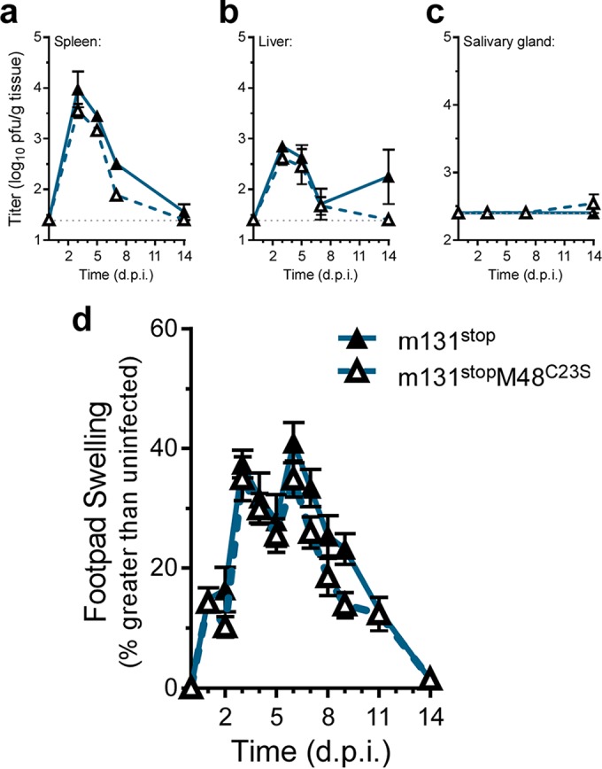 FIG 6 