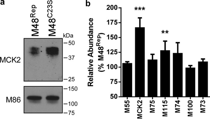 FIG 4 