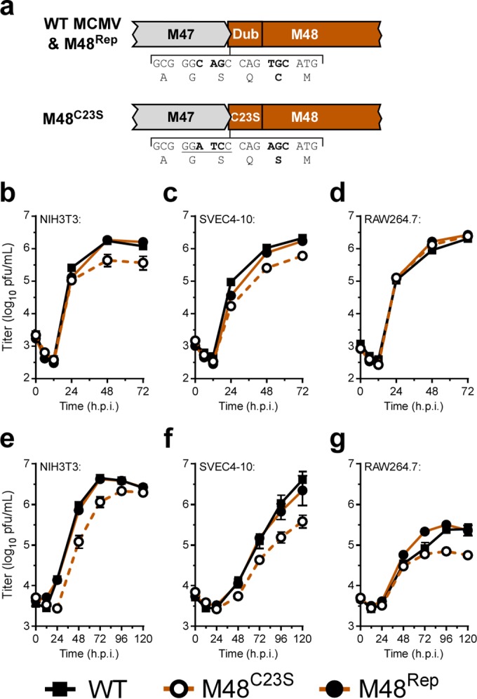 FIG 1 