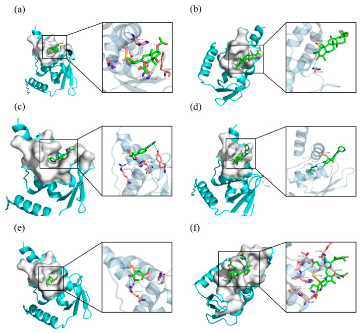 Figure 10