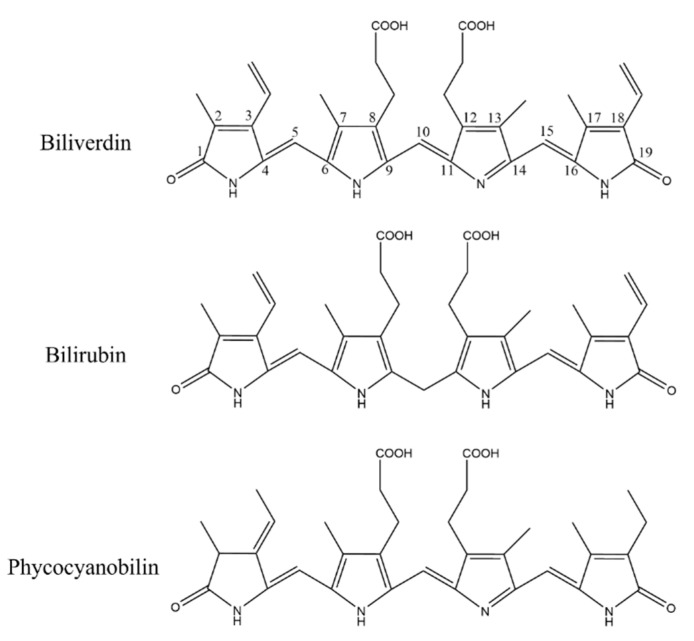 Figure 11