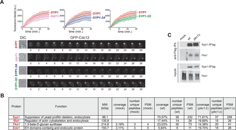 FIGURE 7: