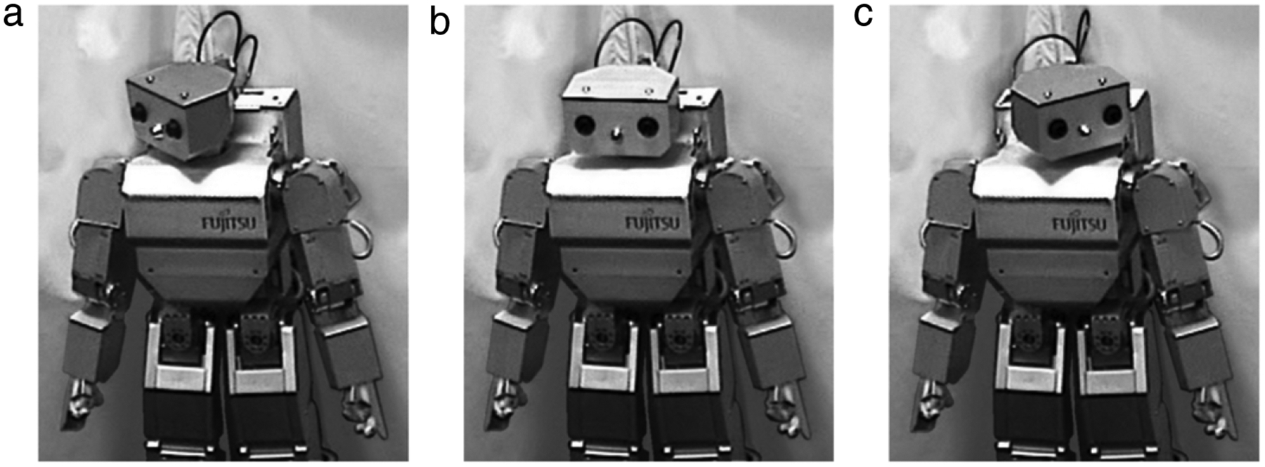 Fig. 1.