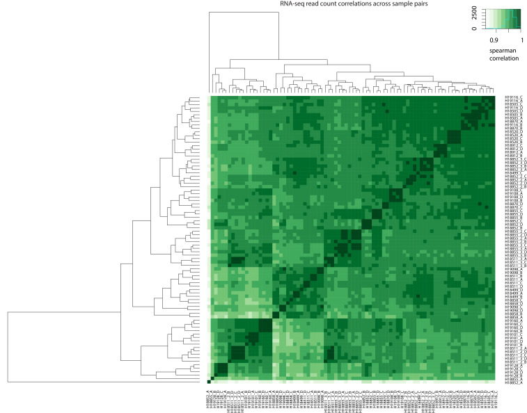 Figure 2—figure supplement 2.