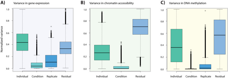 Figure 6—figure supplement 4.