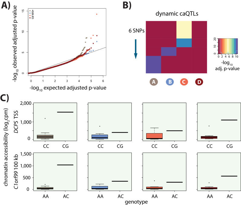 Figure 4—figure supplement 4.