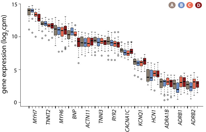 Figure 2—figure supplement 4.