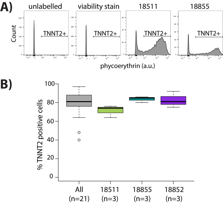 Figure 1—figure supplement 2.