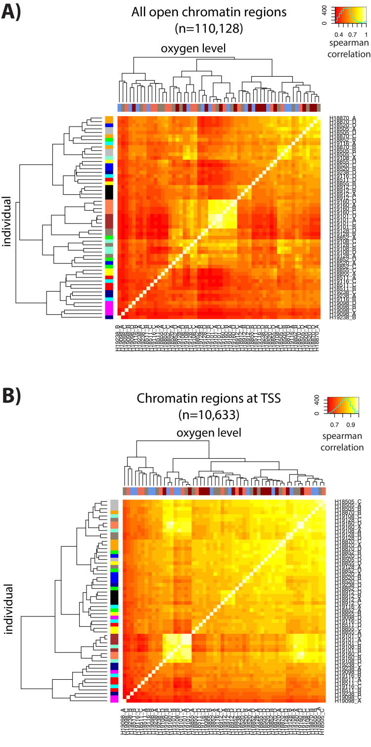 Figure 4—figure supplement 3.