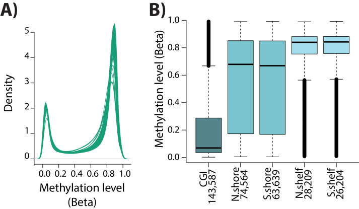 Figure 6—figure supplement 1.