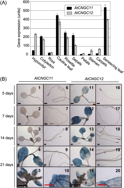 Fig. 2.