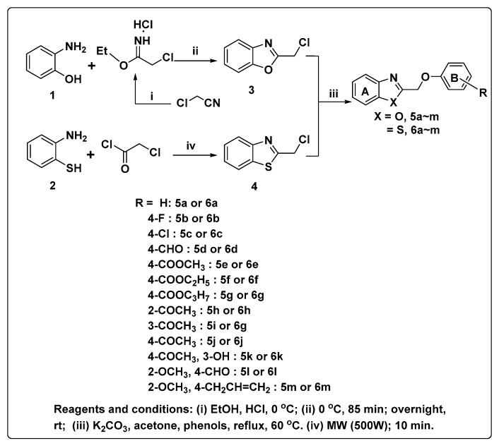 Scheme 1