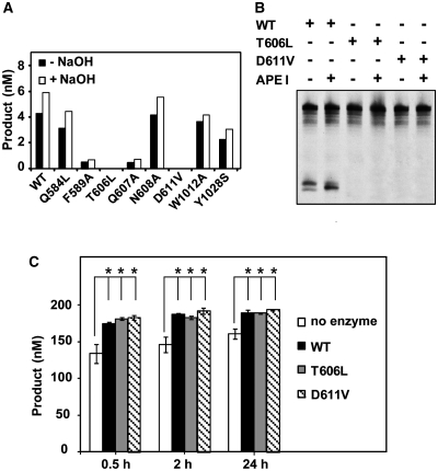 Figure 3.