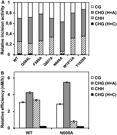 Figure 6.