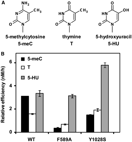 Figure 4.