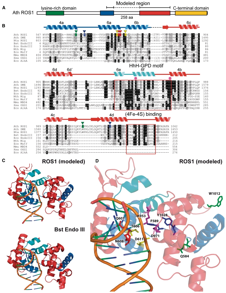 Figure 1.