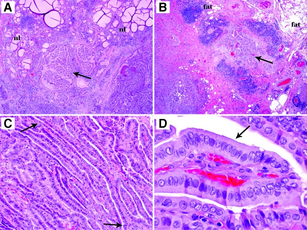 FIG. 1.