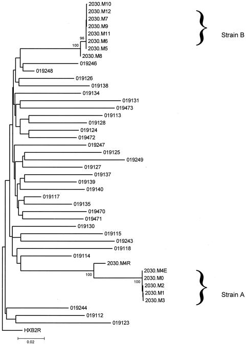 FIG. 3.