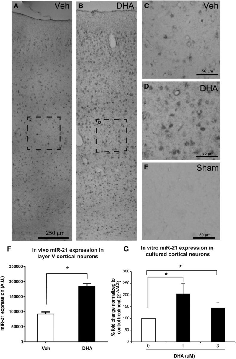 Figure 12.