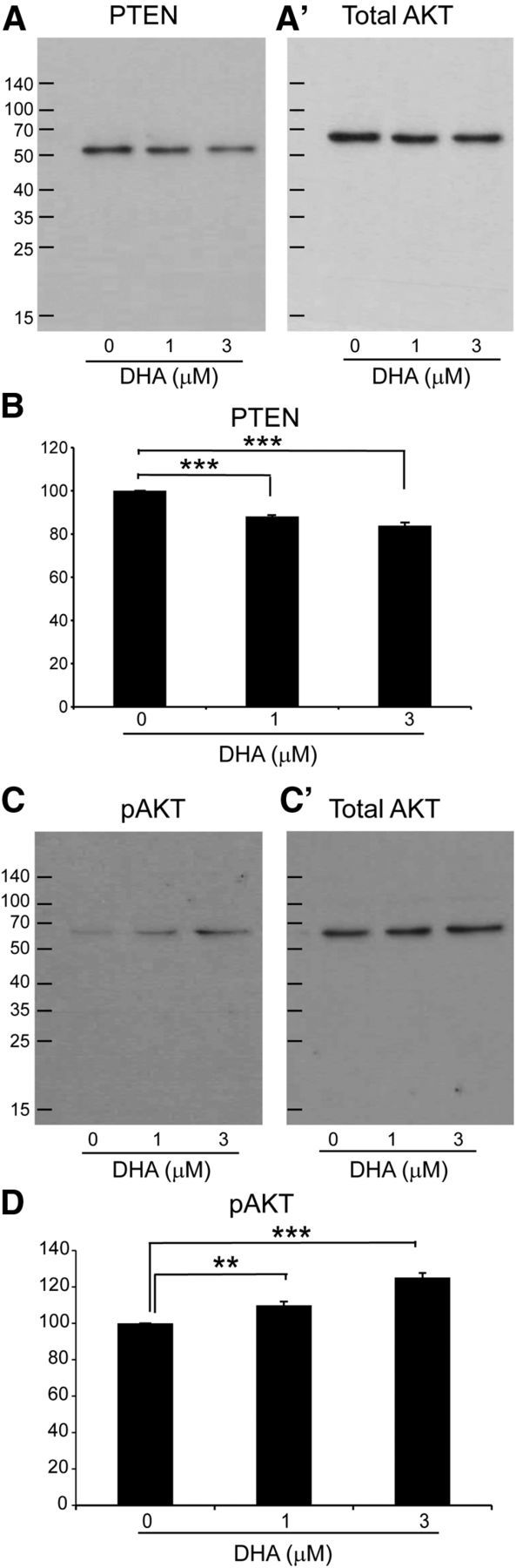 Figure 11.