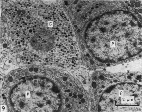 Fig. 9