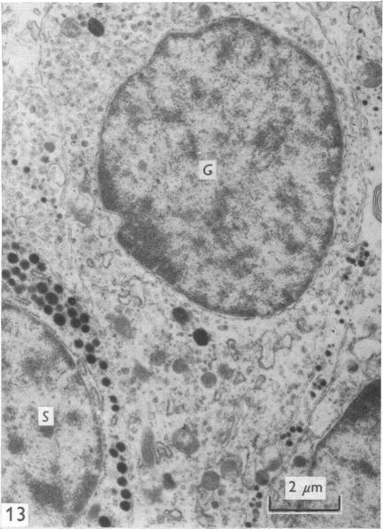 Fig. 13