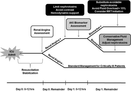 FIGURE 2: