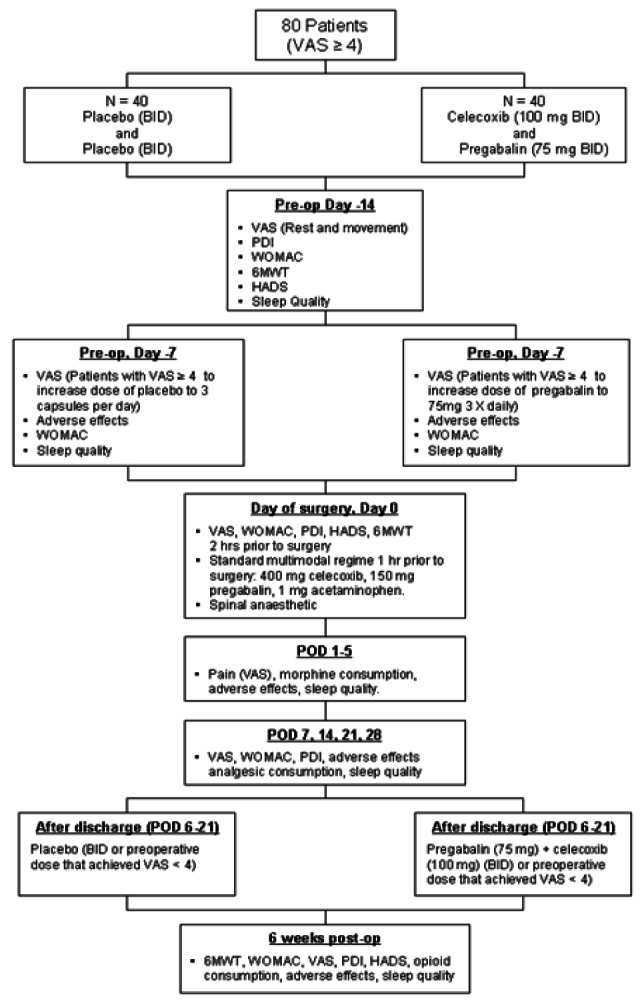 Figure 1)