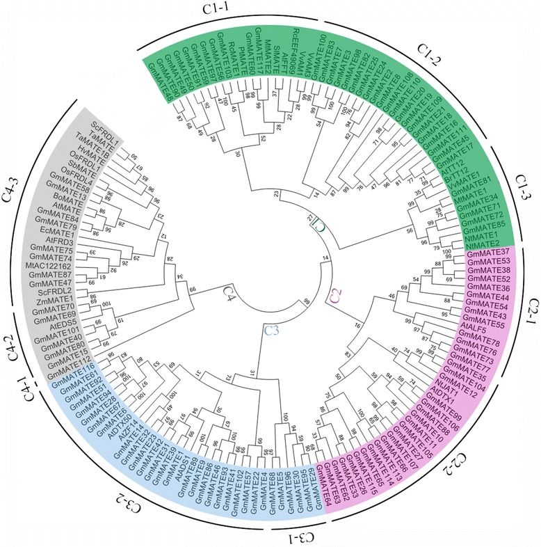 Fig. 2