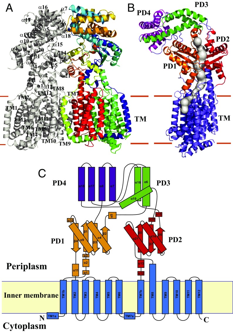 Fig. 1.