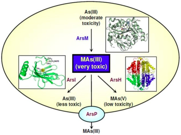 FIGURE 2