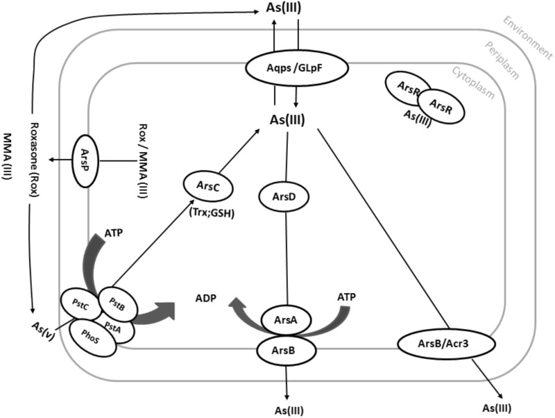 FIGURE 3