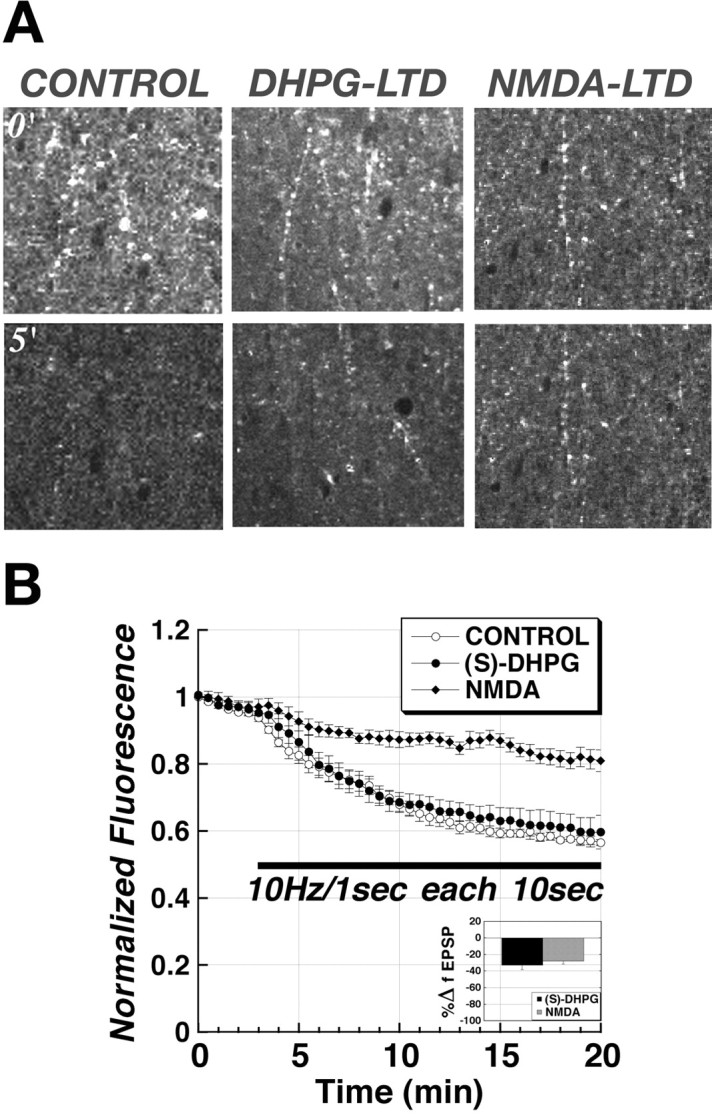 Figure 9.