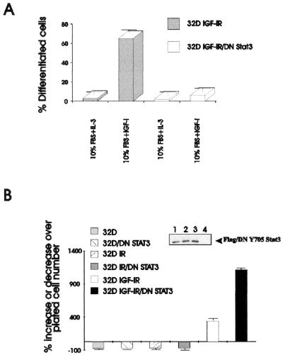 FIG. 7