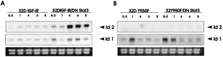 FIG. 3